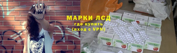 прущие грибы Бородино