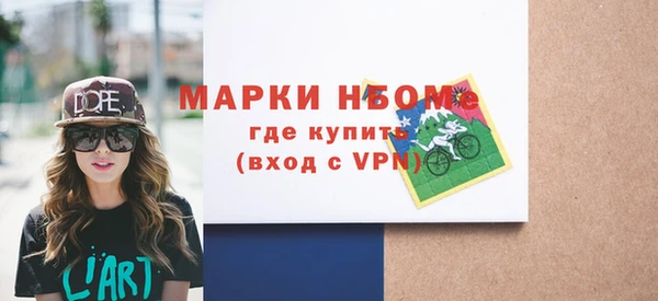 прущие грибы Бородино