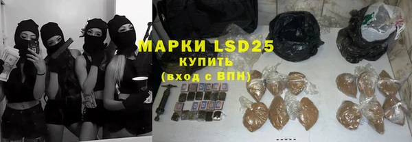 прущие грибы Бородино