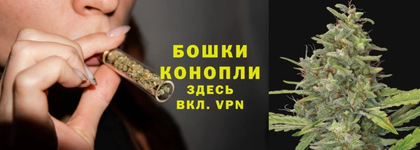 тгк Бронницы