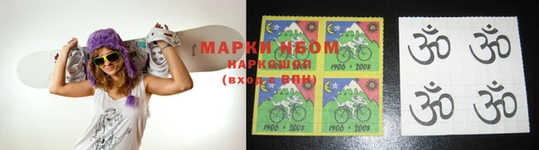 прущие грибы Бородино