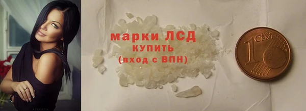 прущие грибы Зеленокумск