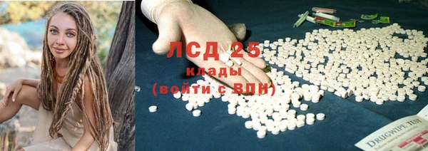 прущие грибы Бородино