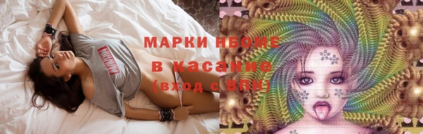 прущие грибы Бородино